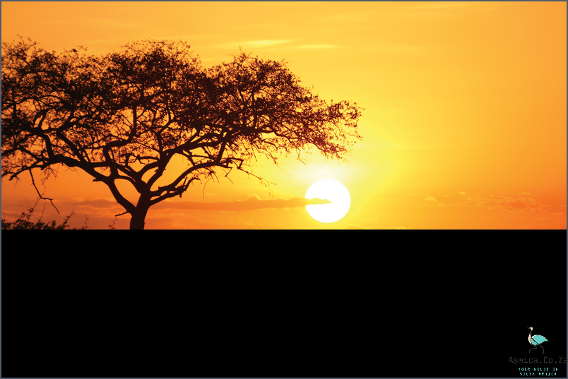 Gaze in Awe at African Sunsets!