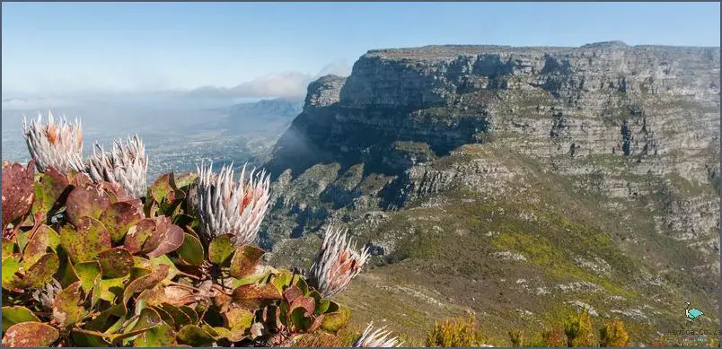 Discover 6 Heritage Sites In Cape Town!