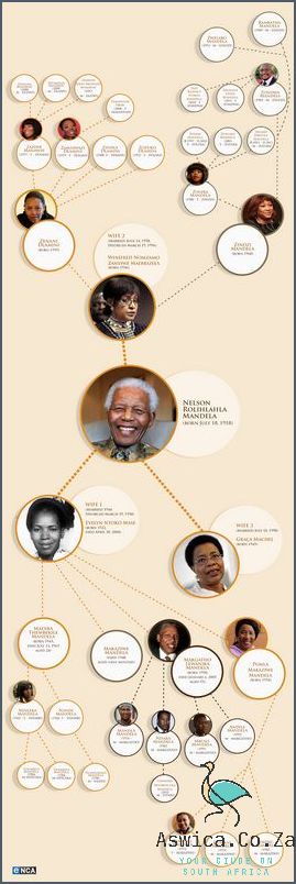 Unravel the Nelson Mandela Family Tree