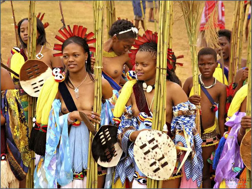 Experience the Festivals In South Africa! March 2024 Aswica.Co.Za