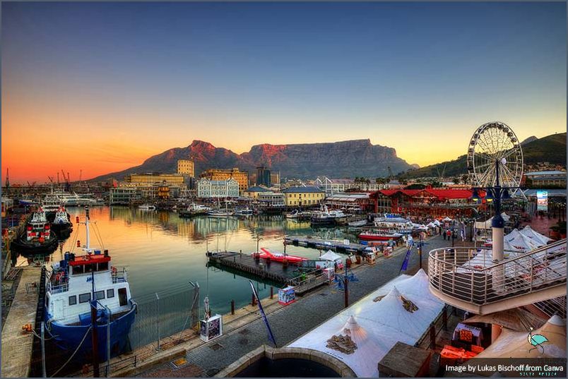 Explore the Richest Areas in Cape Town!