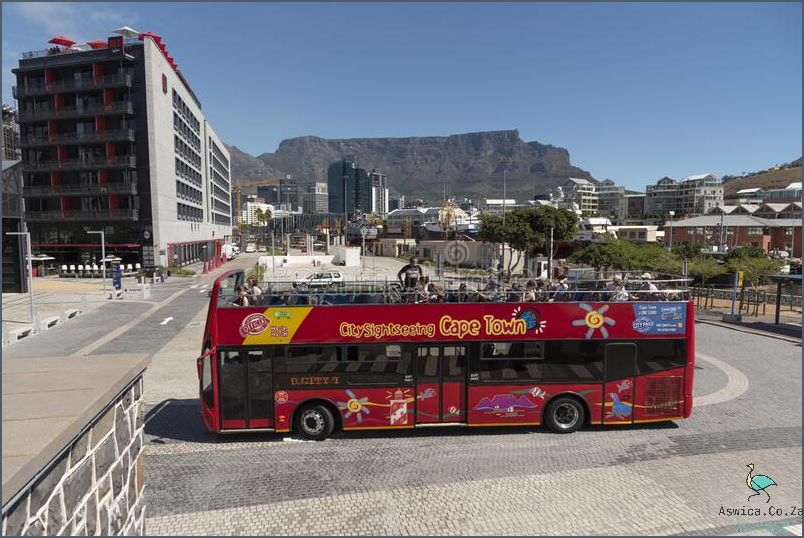 Discover Amazing Cape Town Tour Bus Prices!
