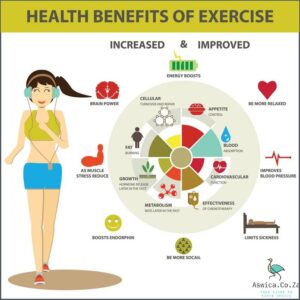 1. The Benefits of Exercise - What Exercise Does for Your Health
