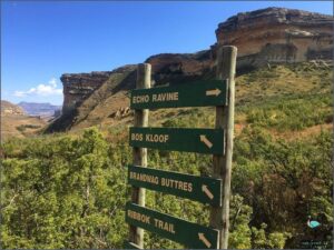 10 Amazing Things To Do In Clarens!