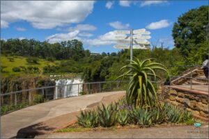 10 Incredible Things To Do In Howick!