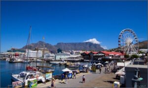 10 Unmissable Activities In Cape Town!