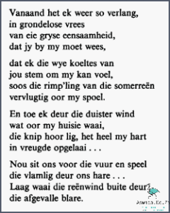 A Dog's Tale In Afrikaans: A Story About A Dog
