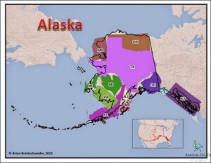 Actual Size Alaska Compared To Texas