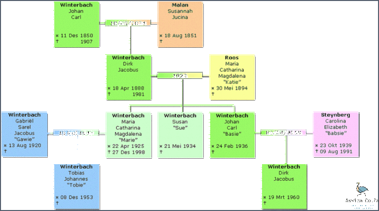 Create a Beautiful Family Tree With Pictures! February 2024 - Aswica.Co.Za