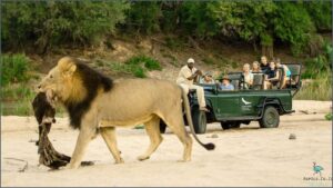 Discover The Best National Park In Africa!