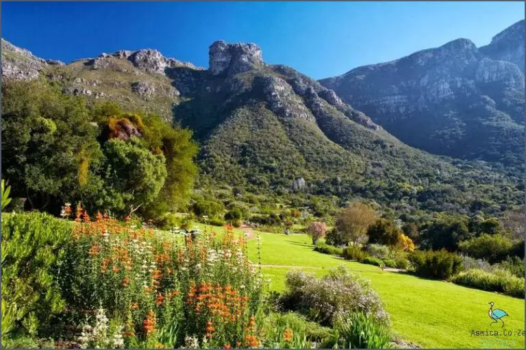 Discover the Kirstenbosch Entry Fee Now! May 2024 Aswica.Co.Za