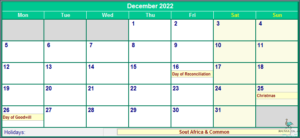 Experience South Africa's December Holidays!