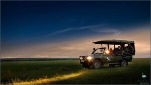 Experience the Thrill of a Safari Game Drive!