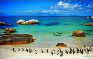 Explore the 10 Most Beautiful Places In South Africa!