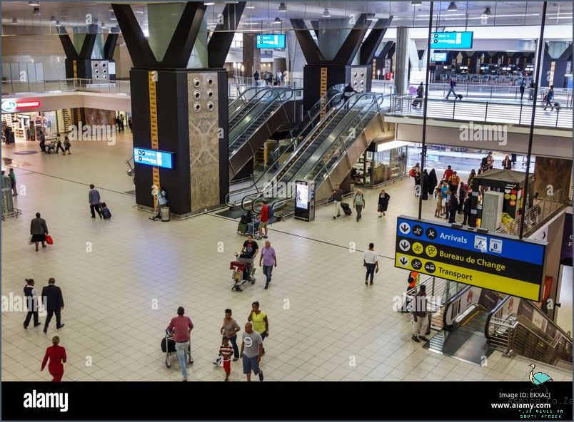 Explore the Luxury of Johannesburg Airport's Hotel Inside! September 2024 Aswica.Co.Za