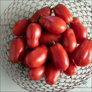 Gardening: Growing Tomatoes