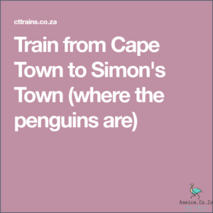 Never Miss Your Train Again With Cape Town Train Times!