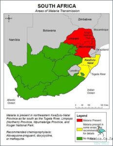 South Africa on Malaria Alert: Take Warning!