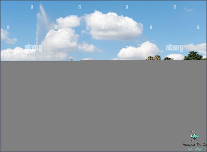 Taste Incredible Food at Johannesburg Zoo Restaurant August 2024