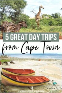 The Essential South Africa Travel Guide: Unmissable Stops & Experiences