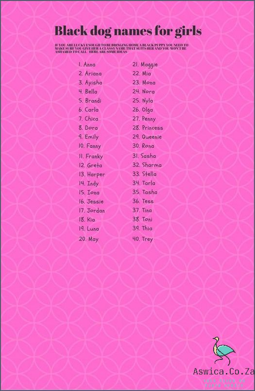 These Unique African Dog Names Are Purrfect July 2026 Aswica Co Za These Unique African Dog Names Are Purrfect July 2026 Aswica Co Za