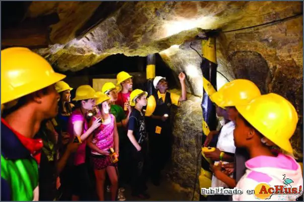 Tour Gold Reef City Mine and Uncover Treasures!