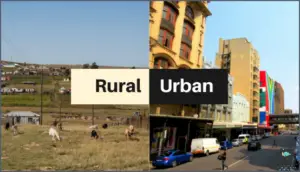 Urban Vs Rural: Which is Best for You?