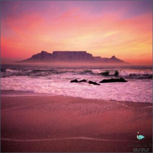 What Is Cape Town South Africa REALLY Like?