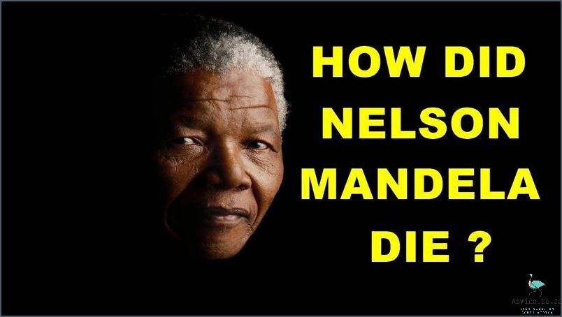 When Did Winnie Mandela Die Find Out Here 3 