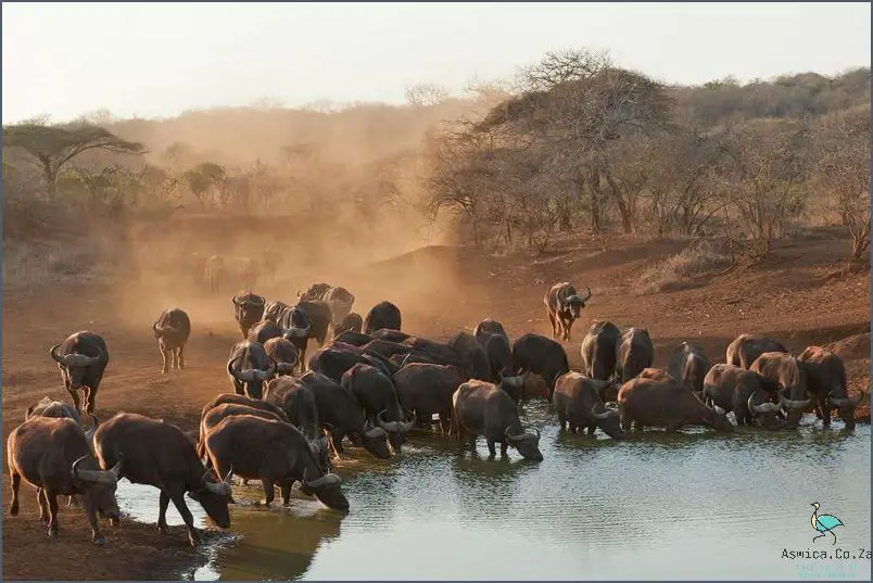 Check Out This National Parks In South Africa Map!