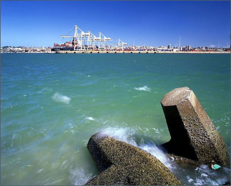 Discover the Beauty of Port Elizabeth Harbour!