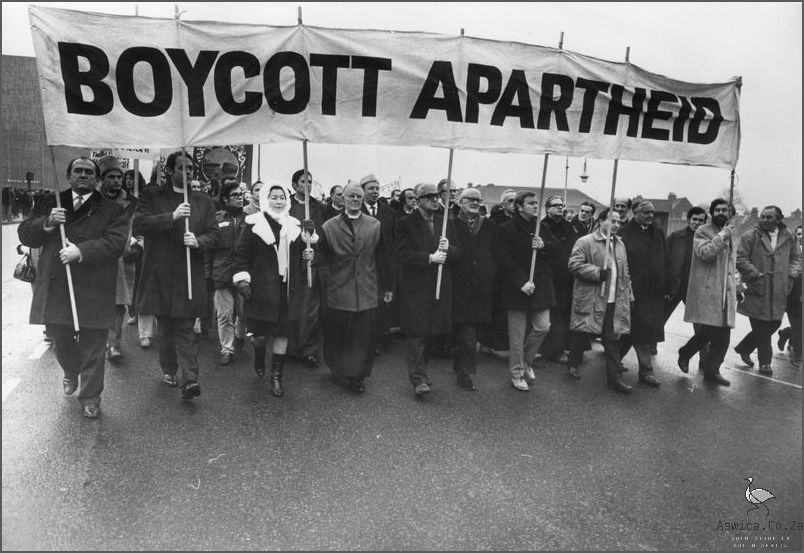 Who Was Behind the End of Apartheid in South Africa?