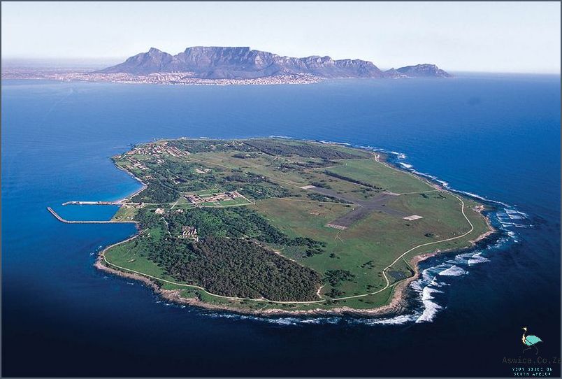 Discover the History of Robben Island in Cape Town!