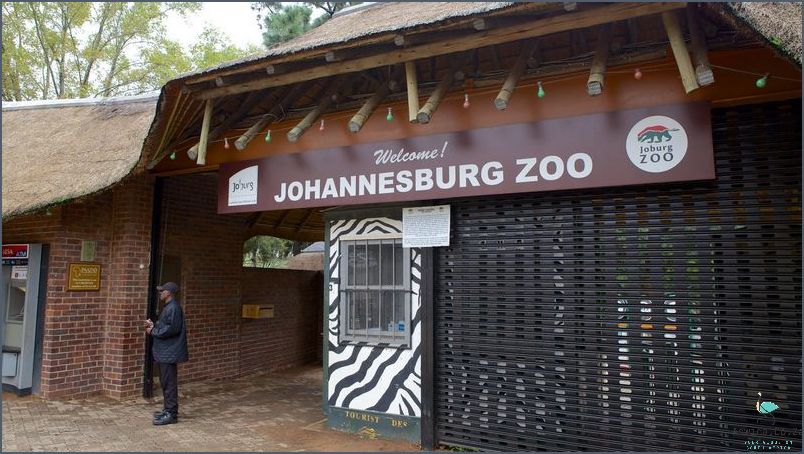 Experience Johannesburg Zoo Tours And Activities!