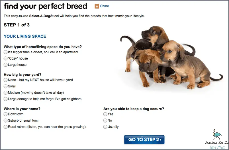 Find Your Perfect Dog - Dogs For Sale in Cape Town!