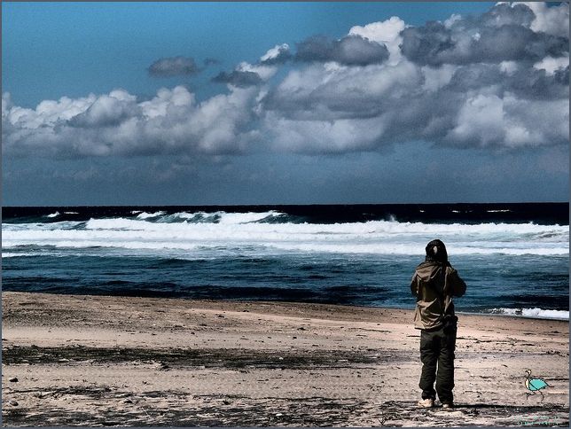 Ontdek Die Skoonheid van Eastern Cape In Afrikaans!