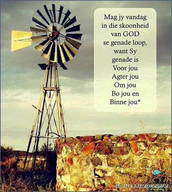 Ontdek Die Skoonheid van Eastern Cape In Afrikaans!