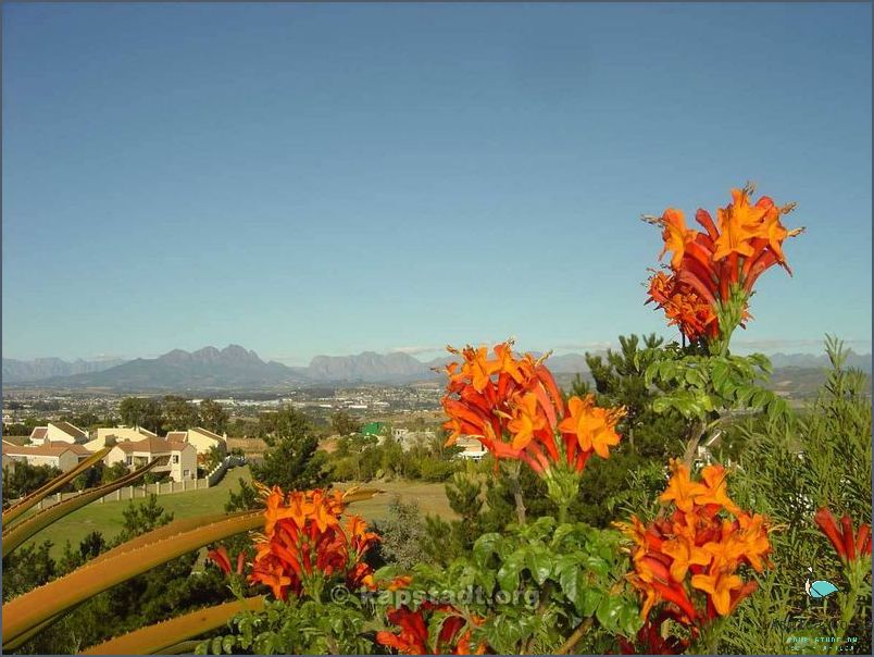 See What Durbanville Northern Suburbs Have to Offer!