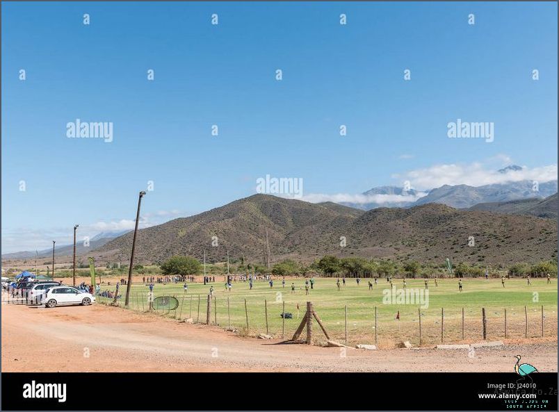 Western Cape Schools: How to Prepare for the Future