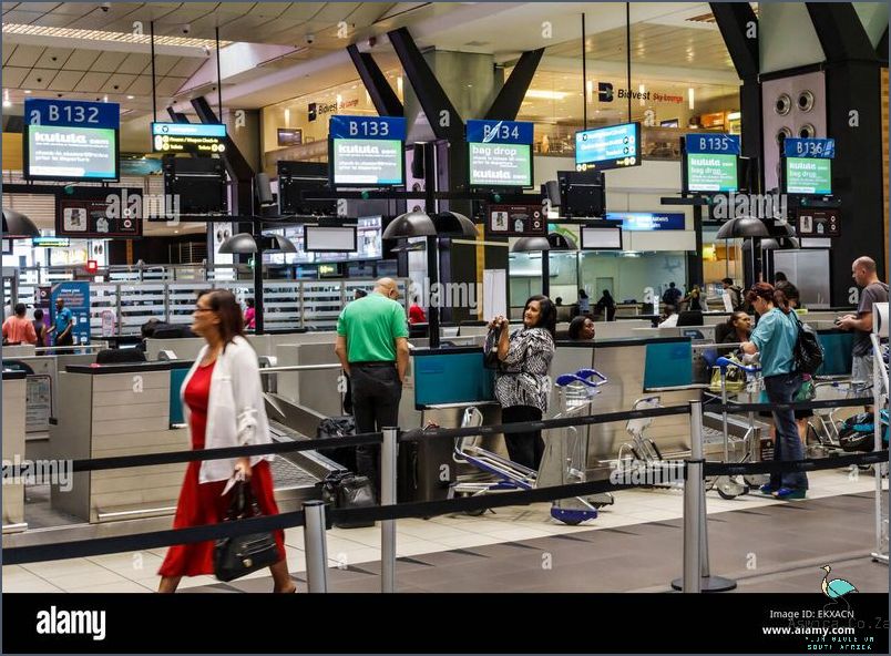 Astonishing Scenes At Or Tambo International Arrivals