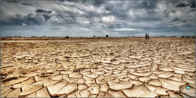 What Are The Consequences Of Water Shortages In South Africa?
