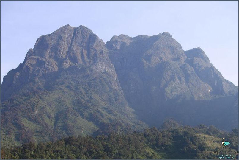 What Is The Longest Mountain Range In Africa? Find Out Now!