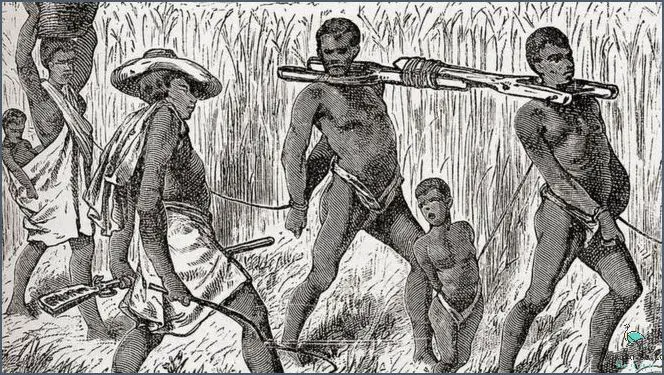 When Did Slavery Start In South Africa? Uncovering the Truth