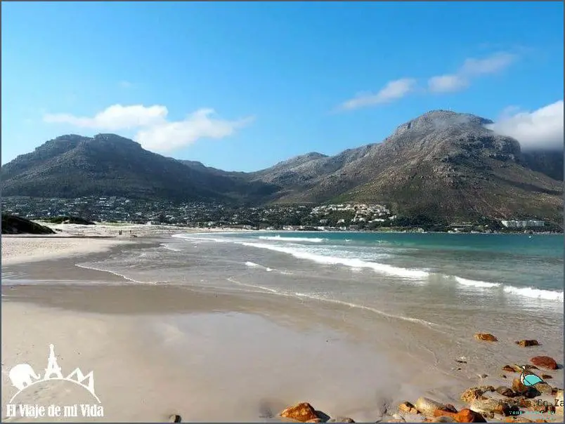 Discover the Hidden Treasures of Mariners Wharf Hout Bay!
