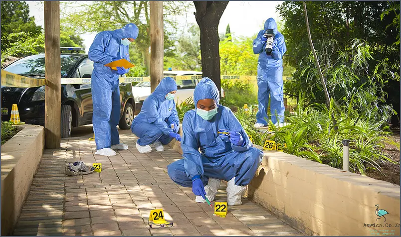 Discover Where You Can Study Forensic Investigation In South Africa