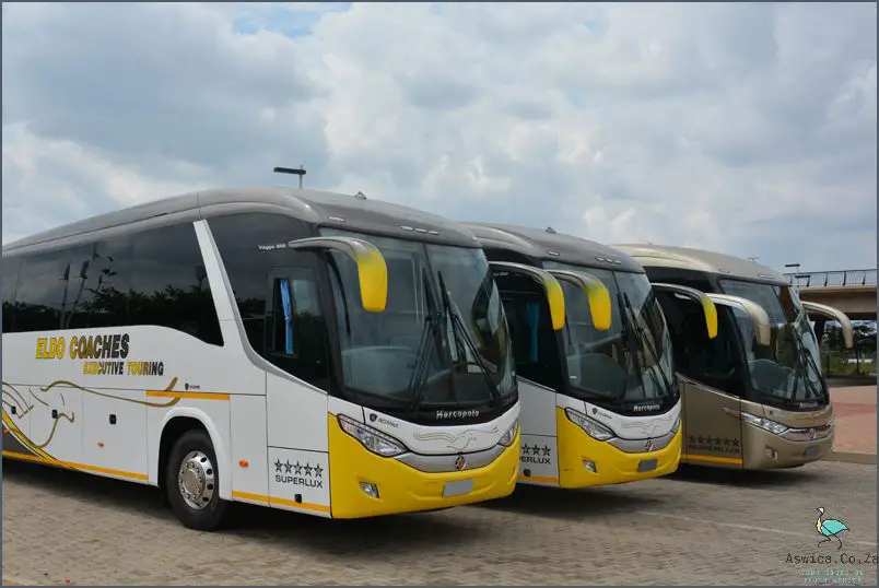 Experience The Journey: Busses From Port Elizabeth To Cape Town