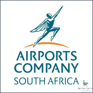 How Many International Airports Are There In South Africa? Find Out Now!