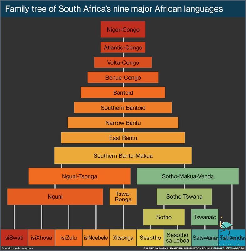 What Are The 12 Official Languages Of South Africa? Find Out Now!