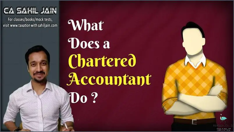 What Does A Chartered Accountant Do In South Africa? Uncover The Truth Now!