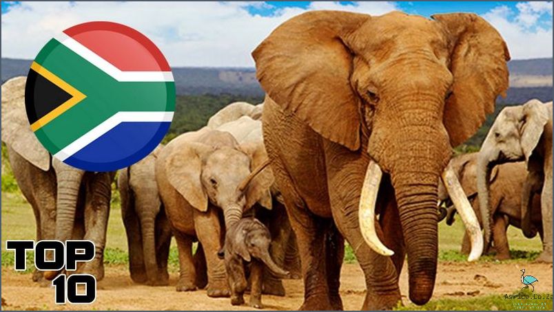 What Is South Africa Like Today? Uncover the Surprising Truth!